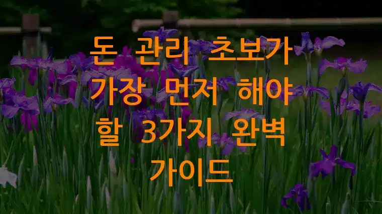 돈 관리 초보가 가장 먼저 해야 할 3가지 완벽 가이드